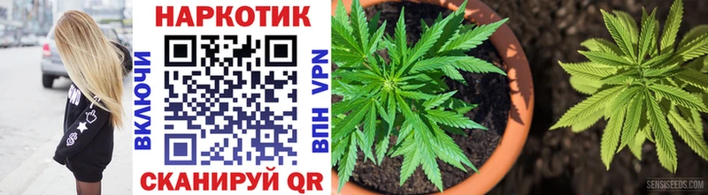 Где можно купить наркотики Вичуга ГАШ Конопля Cocaine KRAKEN ССЫЛКА Меф мяу мяу
