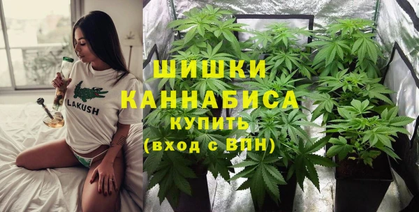 дживик Белоозёрский