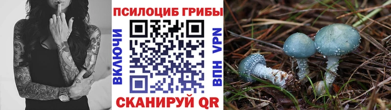 как найти закладки Вичуга omg вход Галлюциногенные грибы прущие грибы